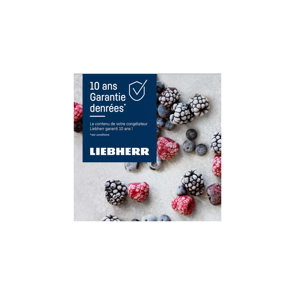 Congélateur armoire LIEBHERR FNe4605-22 – Image 2