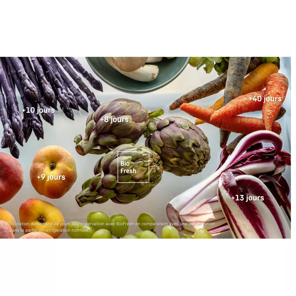 Réfrigérateur combiné LIEBHERR CBNsdc765i BioFresh – Image 9